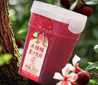 JUICE TOWN 聚仙庄杨梅汁