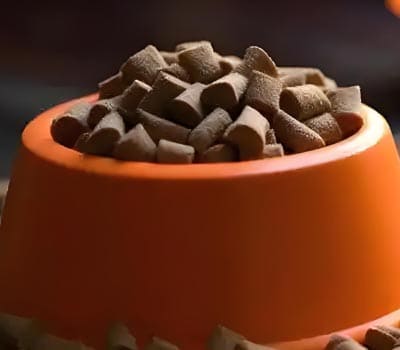 Smartbones宠物食品