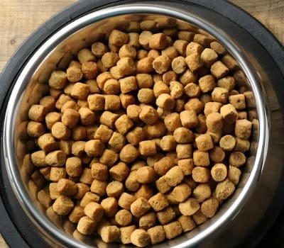 RoyalCanin皇家宠物食品