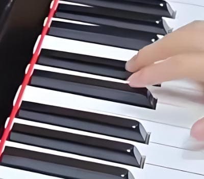 MINIATA君子兰钢琴